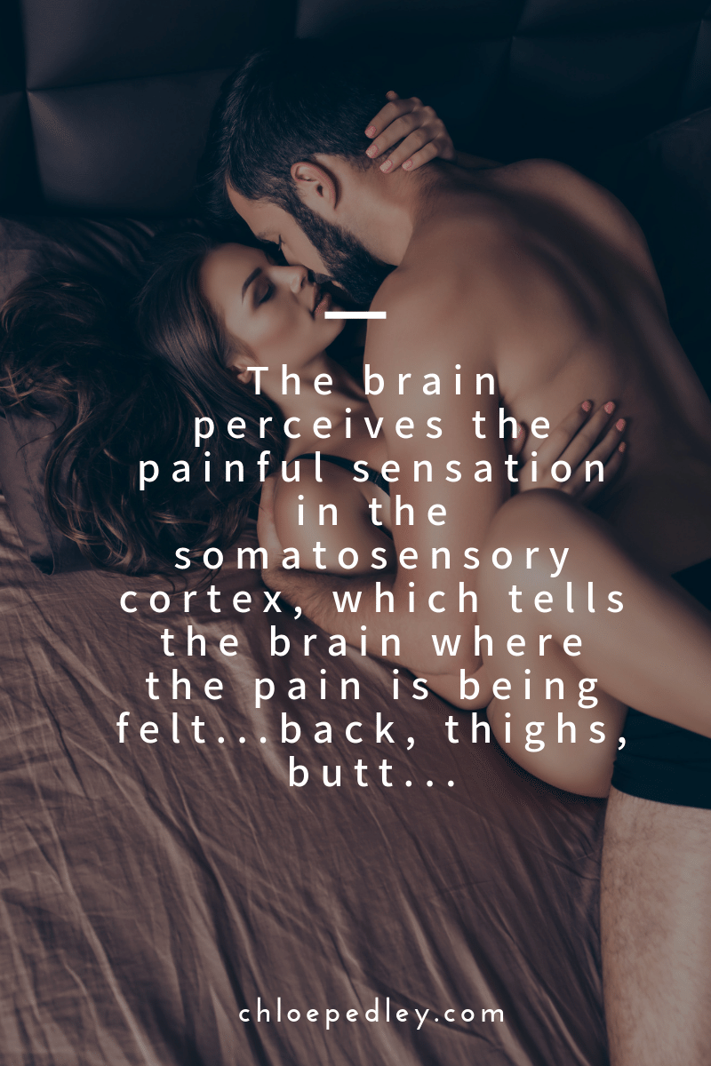 The brain perceives the painful sensation in the somatosensory cortex, which tells the brain where the pain is being felt...back, thighs, butt... 